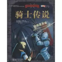 醉染图书骑士传说9787533182687