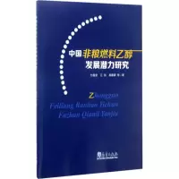 醉染图书中国非粮燃料乙醇发展潜力研究9787502964474