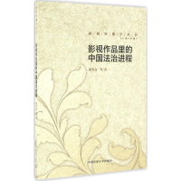 醉染图书影视作品里的中国法治进程9787565714832