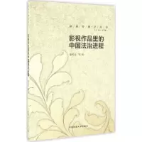 醉染图书影视作品里的中国法治进程9787565714832