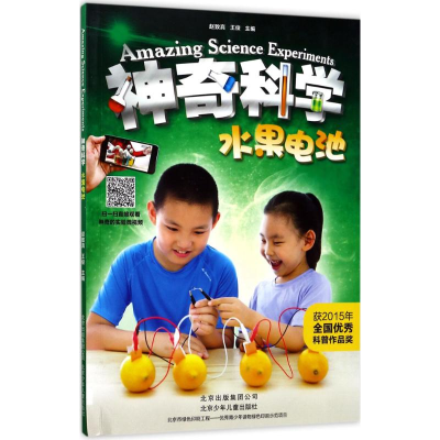 醉染图书水果电池9787530147948