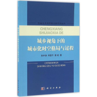 醉染图书城乡视角下的城市化时空格局与过程9787030497963