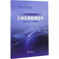 醉染图书工业无损检测技术9787306060754