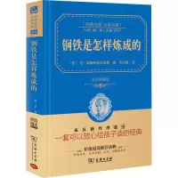 醉染图书钢铁是怎样炼成的 全译典藏版9787100113021