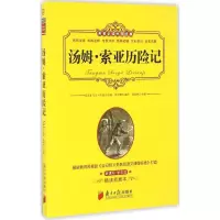 醉染图书汤姆·索亚历险记9787549114535