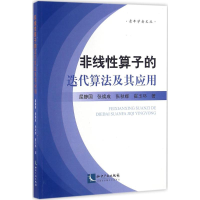 醉染图书非线算子的迭代算法及其应用97875130322