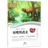 醉染图书硬嘴鹦鹉龙9787558303692