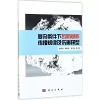 醉染图书复杂条件下瓦斯传播规律及伤害模型97870305310