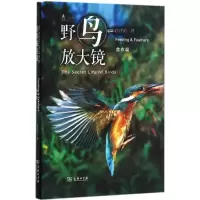醉染图书野鸟放大镜9787100161