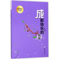 醉染图书成群结伙的蚂蚁9787532897926