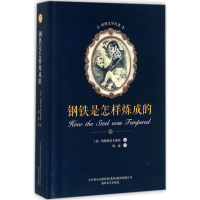 醉染图书钢铁是怎样炼成的9787531352