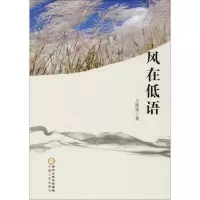 醉染图书风在低语9787227066880