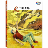 醉染图书风中的少年9787229122157