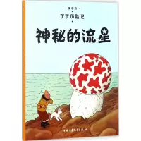 醉染图书神秘的流星9787500794578
