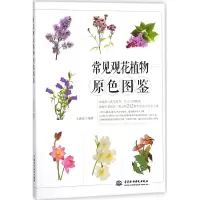 醉染图书常见观花植物原色图鉴9787517059363