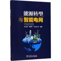 醉染图书能源转型与智能电网9787519811143