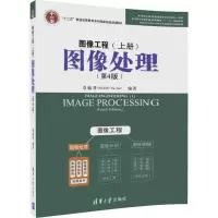 醉染图书图像工程9787302492993