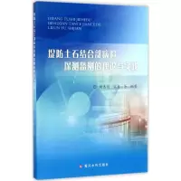 醉染图书堤防土石结合部病险探测监测的理论与实践9787550916722