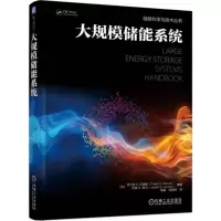 醉染图书大规模储能系统9787111596219
