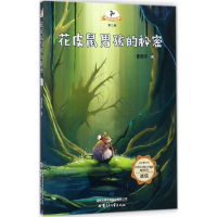 醉染图书花皮鼠男孩的秘密9787542244369