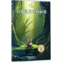 醉染图书花皮鼠男孩的秘密9787542244369