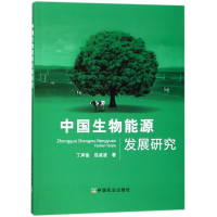 醉染图书中国生物能源发展研究9787109528