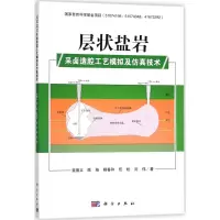 醉染图书层状盐岩采卤造腔工艺模拟及技术9787030538246