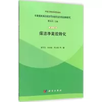 醉染图书煤洁净高效转化9787030403391