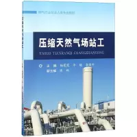 醉染图书压缩天然气场站工9787550920262