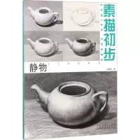 醉染图书素描初步9787518041909
