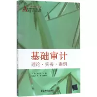 醉染图书基础审计9787302483885
