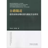 醉染图书公路隧道脆岩体岩爆机理与模拟方法研究9787564639396
