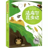 醉染图书法布尔昆虫记 美绘注音版9787533688141