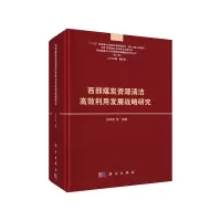 醉染图书西部煤炭资源清洁高效利用发展战略研究9787030604064