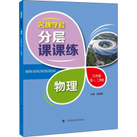 醉染图书学校分层课课练 物理 9年级、2学期9787542866936