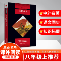 醉染图书十月的阳光 全新修订版9787569502497