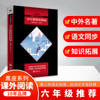 醉染图书少年维特的烦恼 全新修订版9787550074