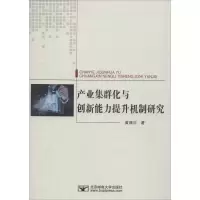 醉染图书产业集群化与创新能力提升机制研究9787563554850
