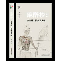 醉染图书麻醉抄:少年诗.旧火及9787807098331