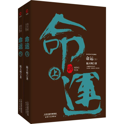 醉染图书命运(2册)9787201133126