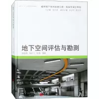 醉染图书地下空间评估与勘测9787560861722