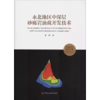 醉染图书永北地区中深层砂砾岩油藏开发技术9787563652