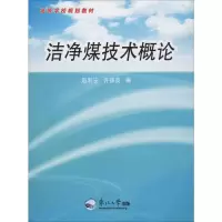 醉染图书洁净煤技术概论9787811029413