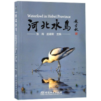 醉染图书河北水鸟9787503895401