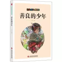 醉染图书陪伴成长的好故事 善良的少年9787543976