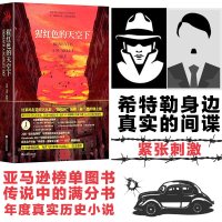 醉染图书猩红色的天空下9787532168859