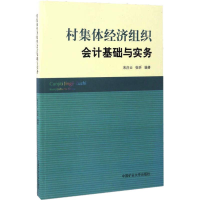 醉染图书村集体经济组织会计基础与实务9787564633677