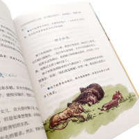 醉染图书伊索寓言(全彩插图版)9787559454614