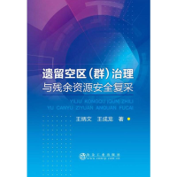 醉染图书遗留空区(群)治理与残余资源安全复采9787502481186