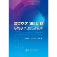 醉染图书遗留空区(群)治理与残余资源安全复采9787502481186